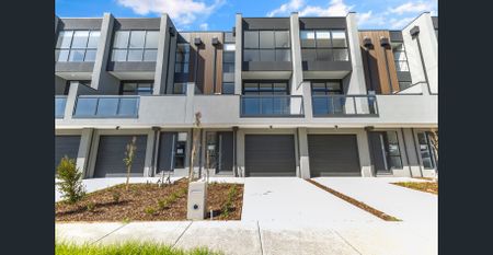 Sunlit Spaces and Elevated Living - Photo 5