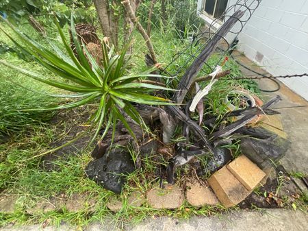 Frankston South - Photo 3