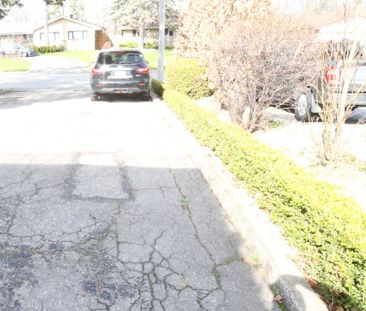 For Lease - 46 Grovetree Road Unit# Walkout Basement, Toronto, Ontario - Photo 3