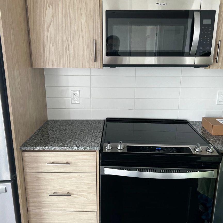 335 Wheat Boom Drive #1208 - Photo 1