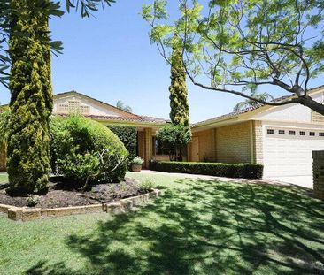 Alexander Heights - Photo 4