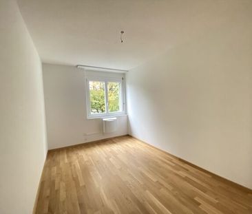 Family and green environment - Photo 2