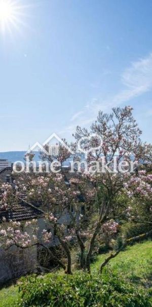 3-Zimmer Wohnung mit Aussicht in S-West - Photo 1