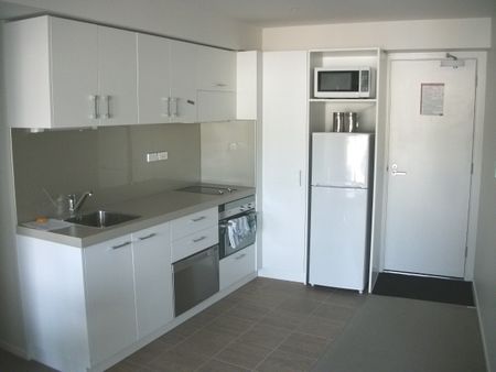 3 Bedroom Furnished Central City Apartment - Photo 4