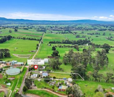 4434m2 Home with Large Shed - Photo 6