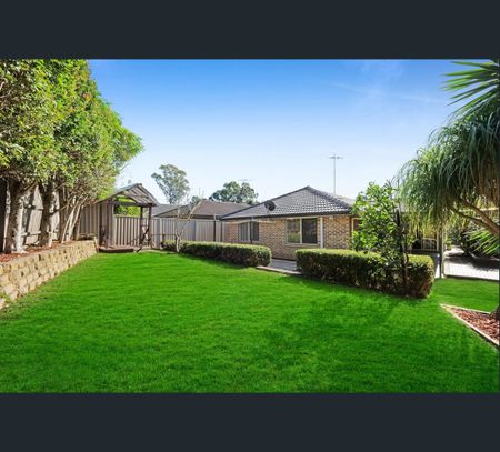 3 Lacy Place, Mount Annan, NSW 2567 - Photo 2