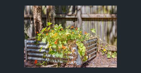 Unfurnished home, pets considered on application - Photo 4