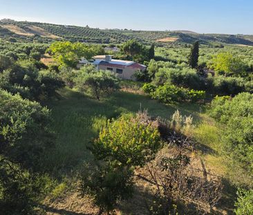 Μονοκατοικία για ενοικίαση Άγιος Ιωάννης (Γούβες) - Φωτογραφία 4