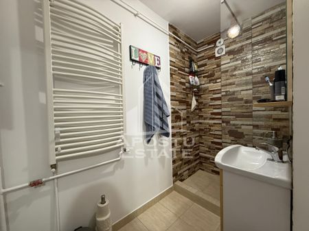Apartament cu o camera, 38mp, renovat, luminos, zona Lunei - Fotografie 4