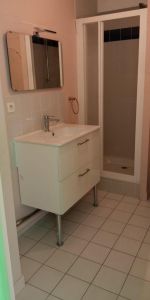 Location Appartement 1 pièce 29m² LE MANS 72000 - Photo 4