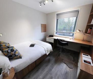 Flat share to rent - Photo 5