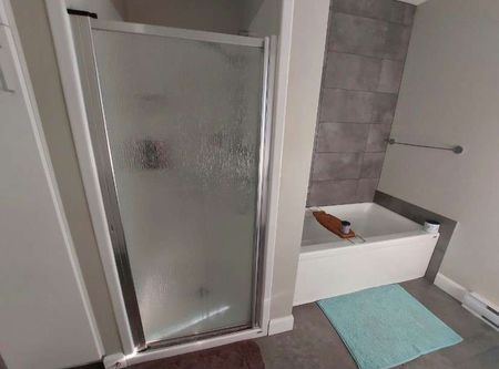 1043B Rang St-Ange - Photo 2