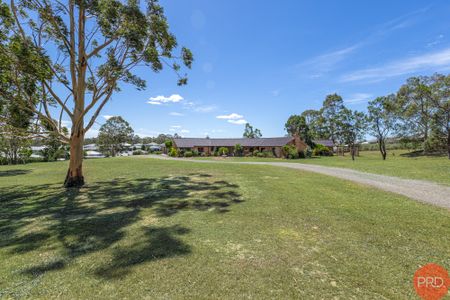 476 Paterson Road, Bolwarra Heights NSW 2320 - House For Rent | Domain - Photo 4