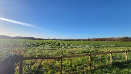 2 bedroom semi-detached house to rent - Photo 2