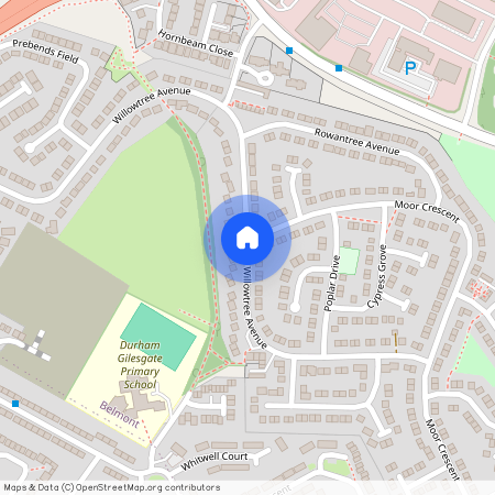 Willowtree Avenue, Durham DH1