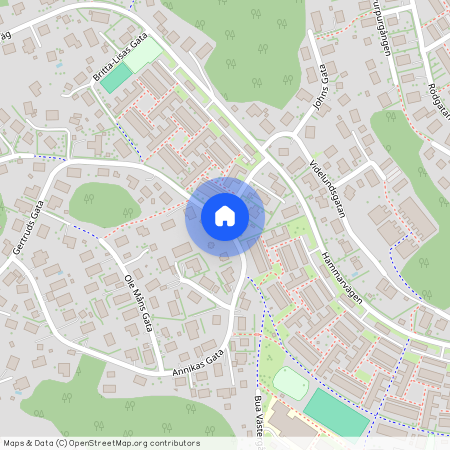 Annikas gata, Västra Frölunda