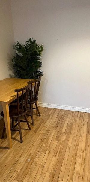 Grand 3 1/2 à Rosemont/Petite Patrie - Photo 1