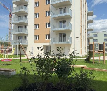 3-Zimmer-Wohnung mit Balkon, Top 11 - Foto 5