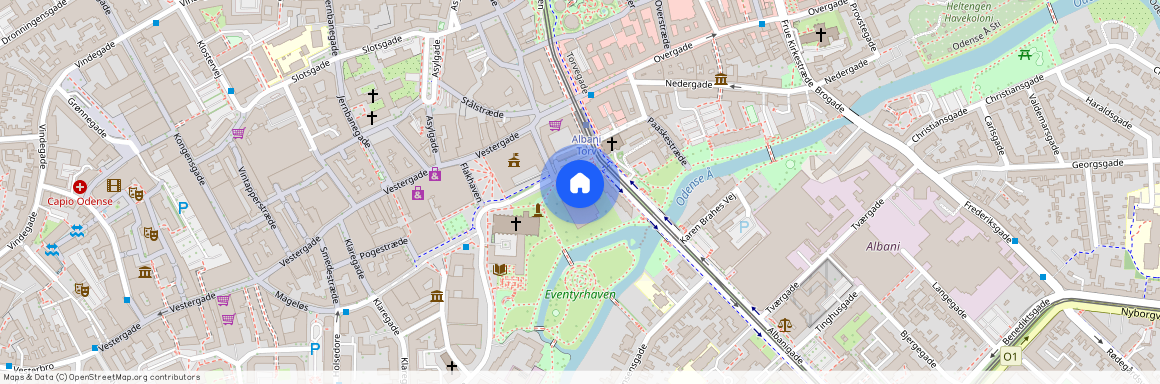 Albani Torv 10, 5. 3, 5000, Odense C