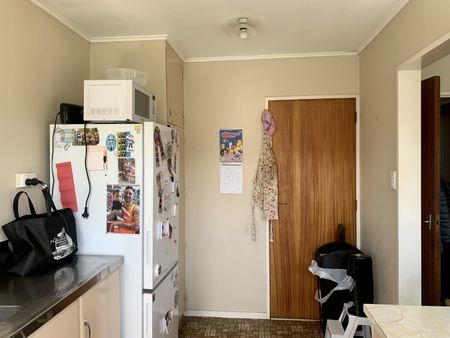 Spacious one bedroom in Woburn - Photo 3