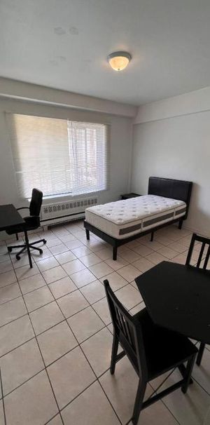 NEAR MCGILL U, GORGEOUS AND RENOVATED 1½ (pateau Mont Royal) - Photo 1