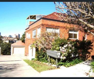 7/29B Shirley Road, Wollstonecraft, NSW 2065 - Photo 3