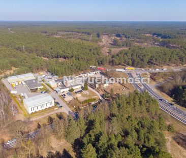 Piła, Zamość - Фото 2