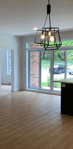 4 1/2 et 5 1/2 à louer St-Hyacinthe Libre immédiatement - Condo / appartment / logement - Photo 1