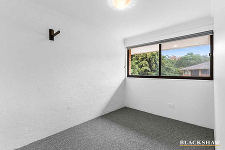 Newly Renovated Two Bedroom Unit in Chifley - Photo 4