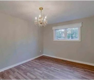 For Lease - 26 Brenda Avenue, Brampton, Ontario - Photo 5