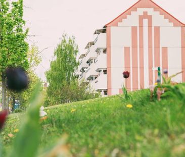 Nah am Stadtpark! - Photo 6