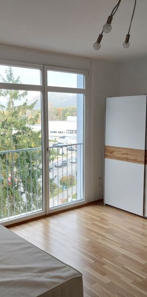 ANDRITZ - NAHE FACHMARKTZENTRUM: HELLE GEPFLEGTE FREUNDLICHE GARCONNIERE INKL. PP UM € 370,--+BK+HZG - Photo 1