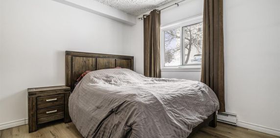 Cardinal-Villeneuve Appartement 3 ½ à Louer Limoilou Juillet 2026 - Photo 2