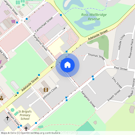 29 Kangaroo Street Raymond Terrace, NSW 2324