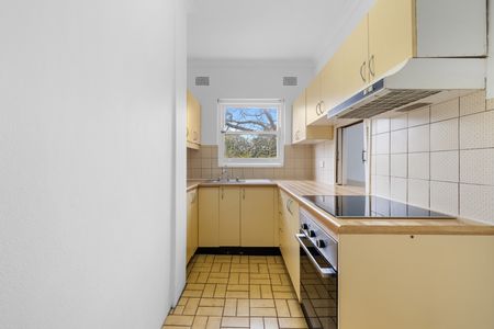 8/2 Clovelly Road, Randwick NSW 2031 - Apartment For Rent | Domain - Photo 2