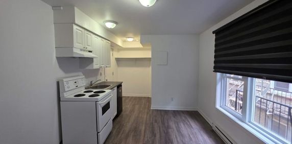 1 CH - 1 SDB - Montréal - $1,095 /mo - Photo 2