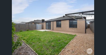 FAMILY COMFORT & SPACE IN SMYTHES CREEK - MINUTES FROM DTC ! - Photo 5