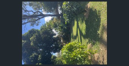 Charming Walkamin Home at a Steal! - Photo 4