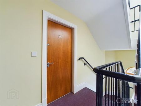 Apt 26, Annadale Mews, Belfast, BT7 3LR - Photo 4