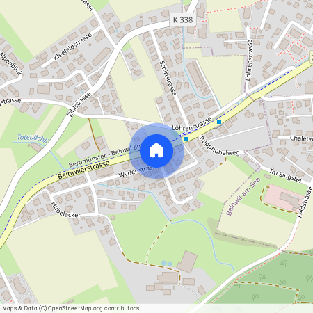 5734, Reinach AG, Wydenstrasse, 13