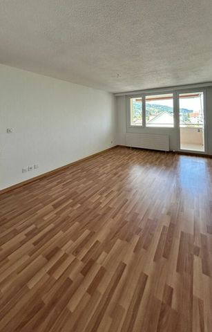 Industriestrasse 18, 9430 St. Margrethen SG - Foto 3