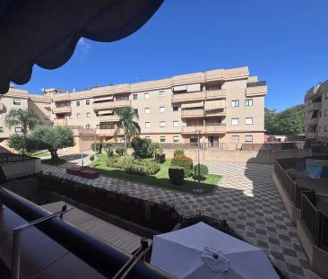Jerez De La Frontera - Photo 3