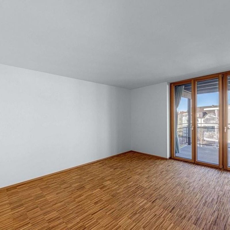 Looking for a unique apartment in Birsfelden? - Foto 1