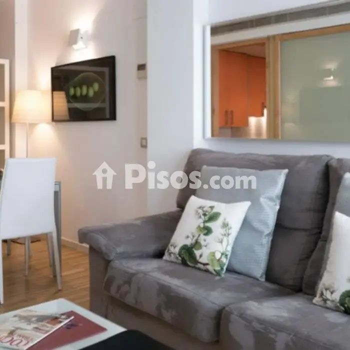 Piso en alquiler en Embajadores-Lavapiés - Foto 1