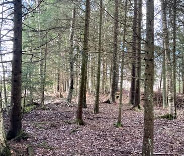 Korgmakarevägen, Vittsjö - Foto 6