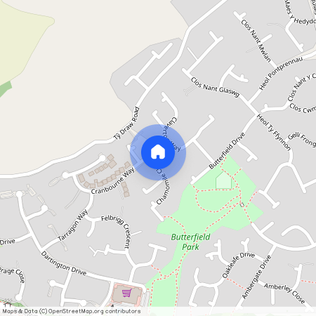 Chamomile Close, Pontprennau, CF23