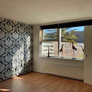Appartement 2 Pièces en Rez-de-Chaussée avec Jardin - Boedijnhof, Hoorn - Photo 1