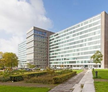 Bos en Lommerplantsoen 1055 Amsterdam - Foto 5