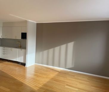 Flugfiskegatan, Södertälje - Foto 2