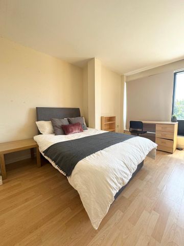 Studio to rent - Photo 3